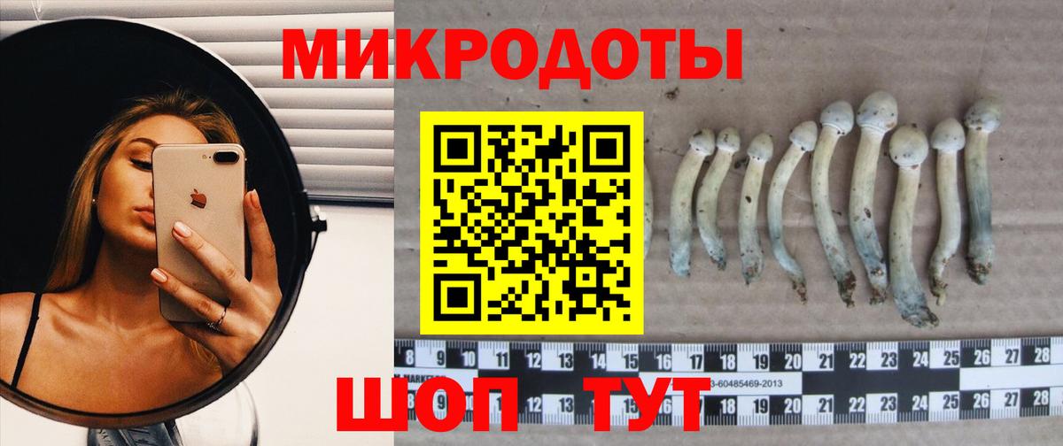 Галлюциногенные грибы мухоморы Кудымкар